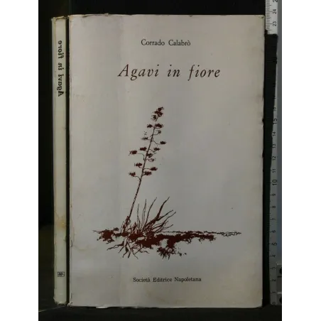 AGAVI IN FIORE