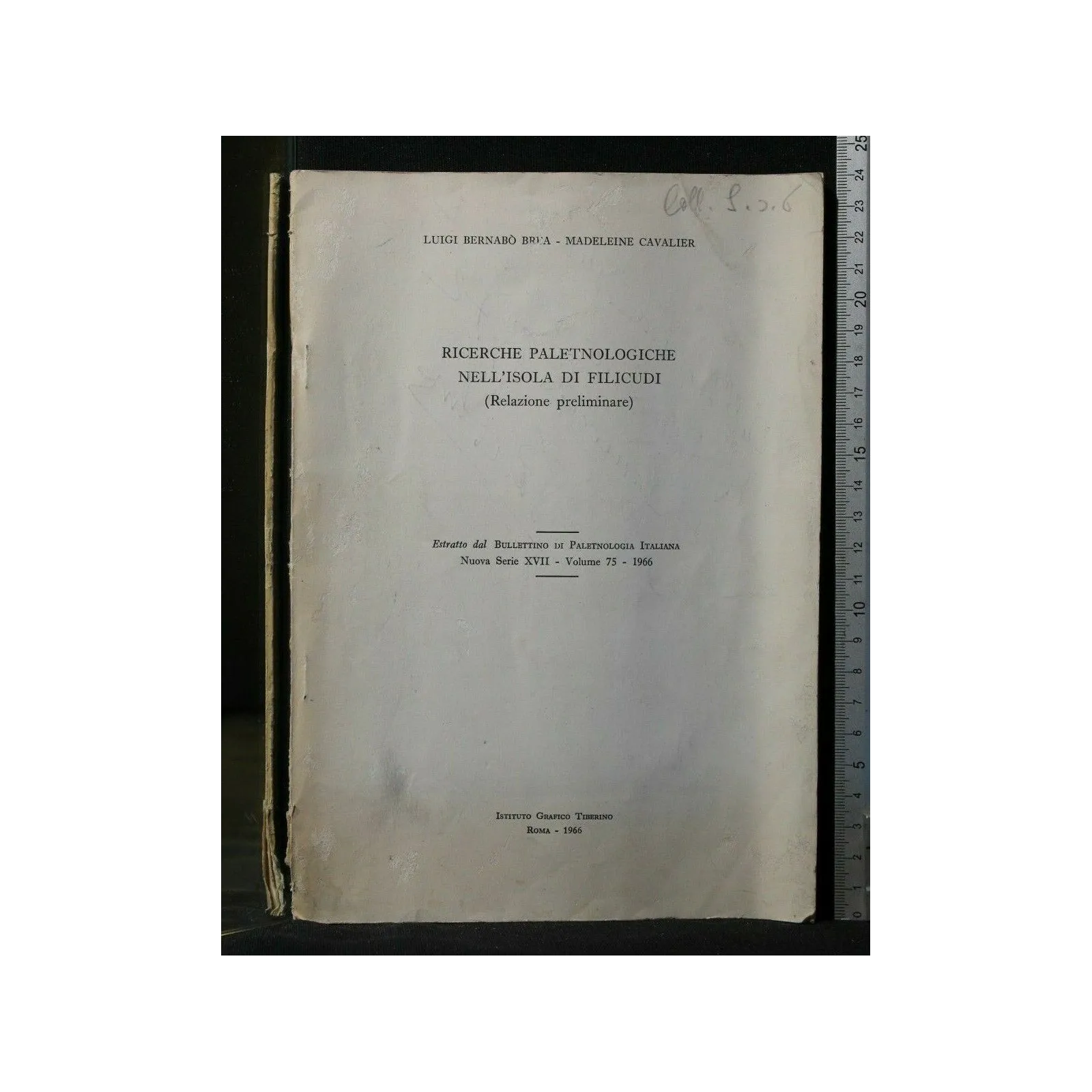 RICERCHE PALETNOLOGICHE NELL'ISOLA DI FILICUDI (RELAZIONE