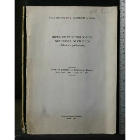 RICERCHE PALETNOLOGICHE NELL'ISOLA DI FILICUDI (RELAZIONE