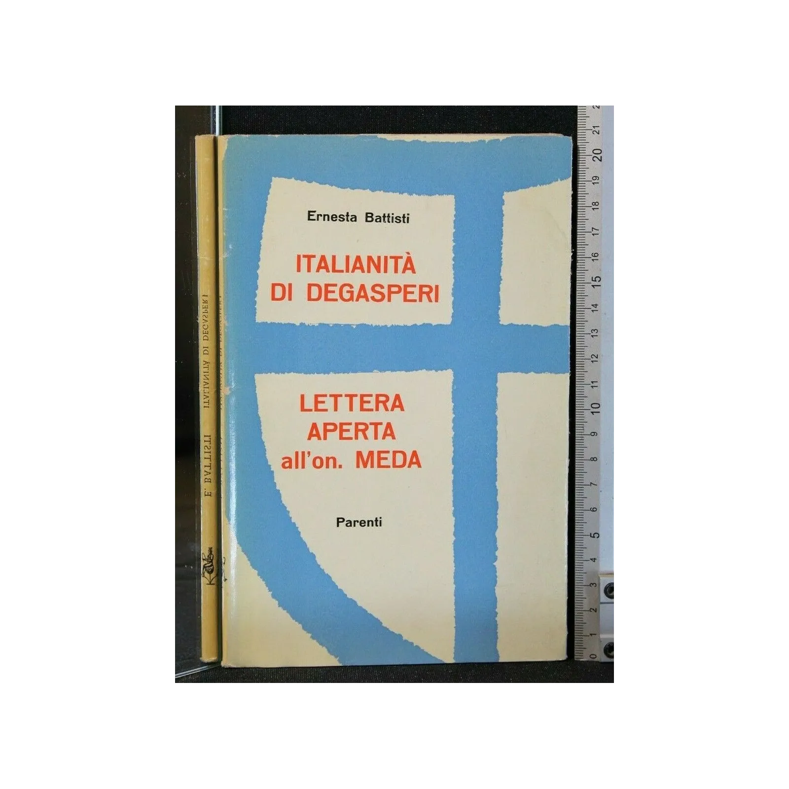ITALIANITA' DI DEGASPERI LETTERA APERTA ALL'ON MEDA