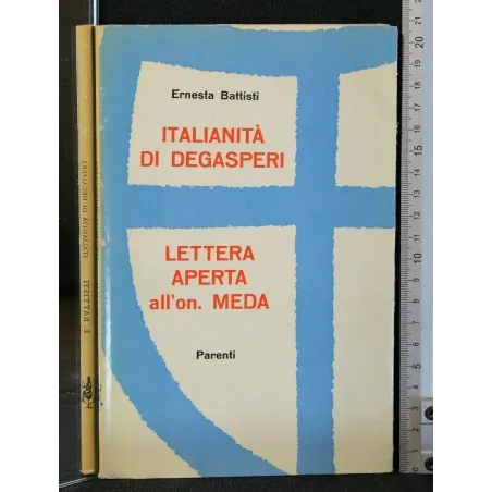 ITALIANITA' DI DEGASPERI LETTERA APERTA ALL'ON MEDA