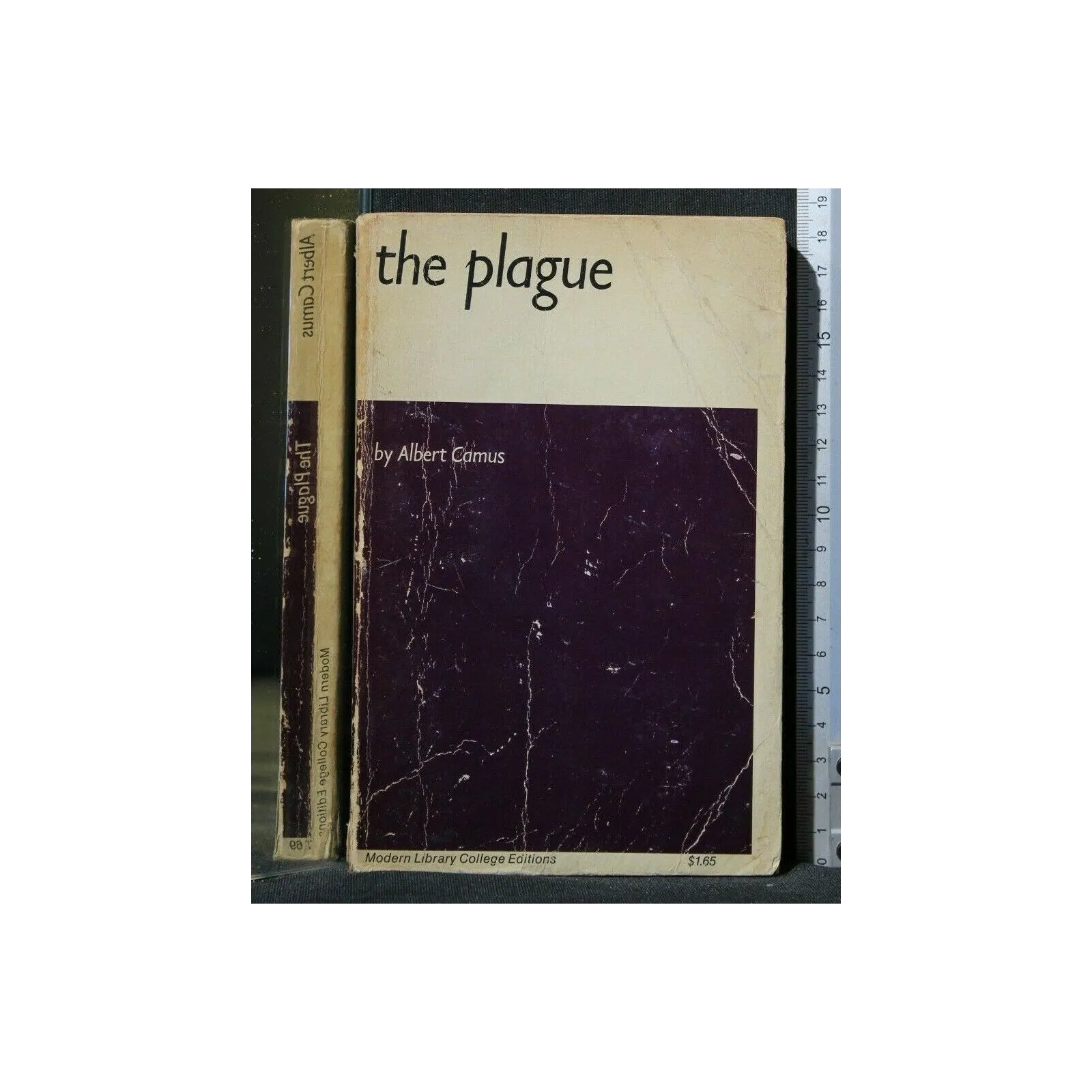 THE PLAGUE