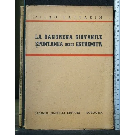 LA GANGRENA GIOVANILE SPONTANEA DELLE ESTREMITA'