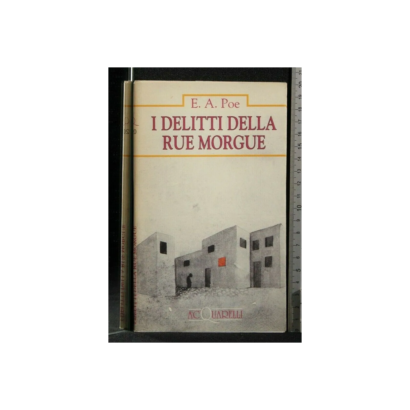 I DELITTI DELLA RUE MORGUE