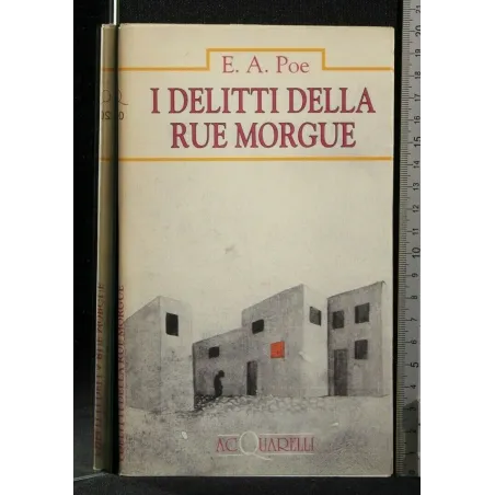 I DELITTI DELLA RUE MORGUE