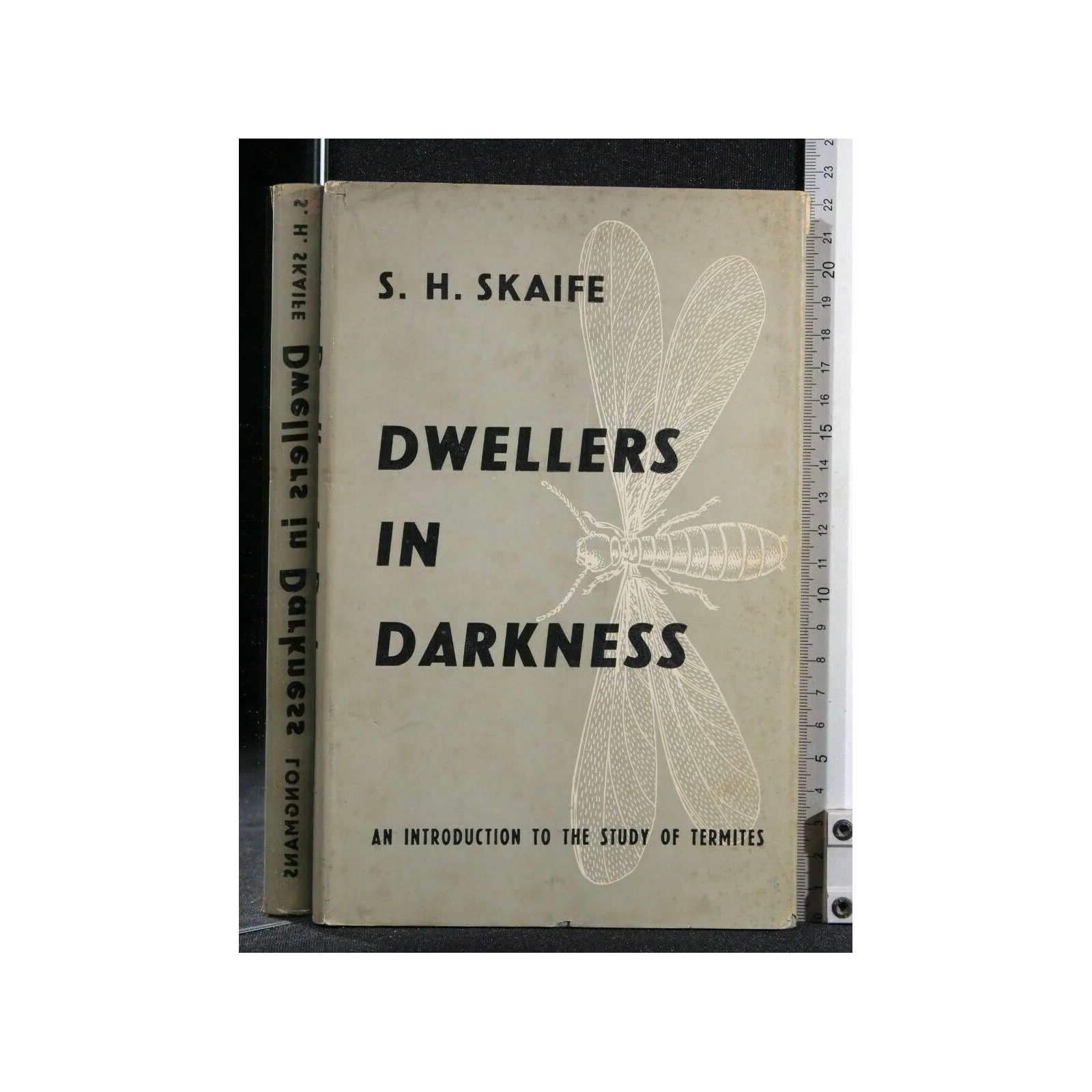 DWELLERS IN DARKNESS