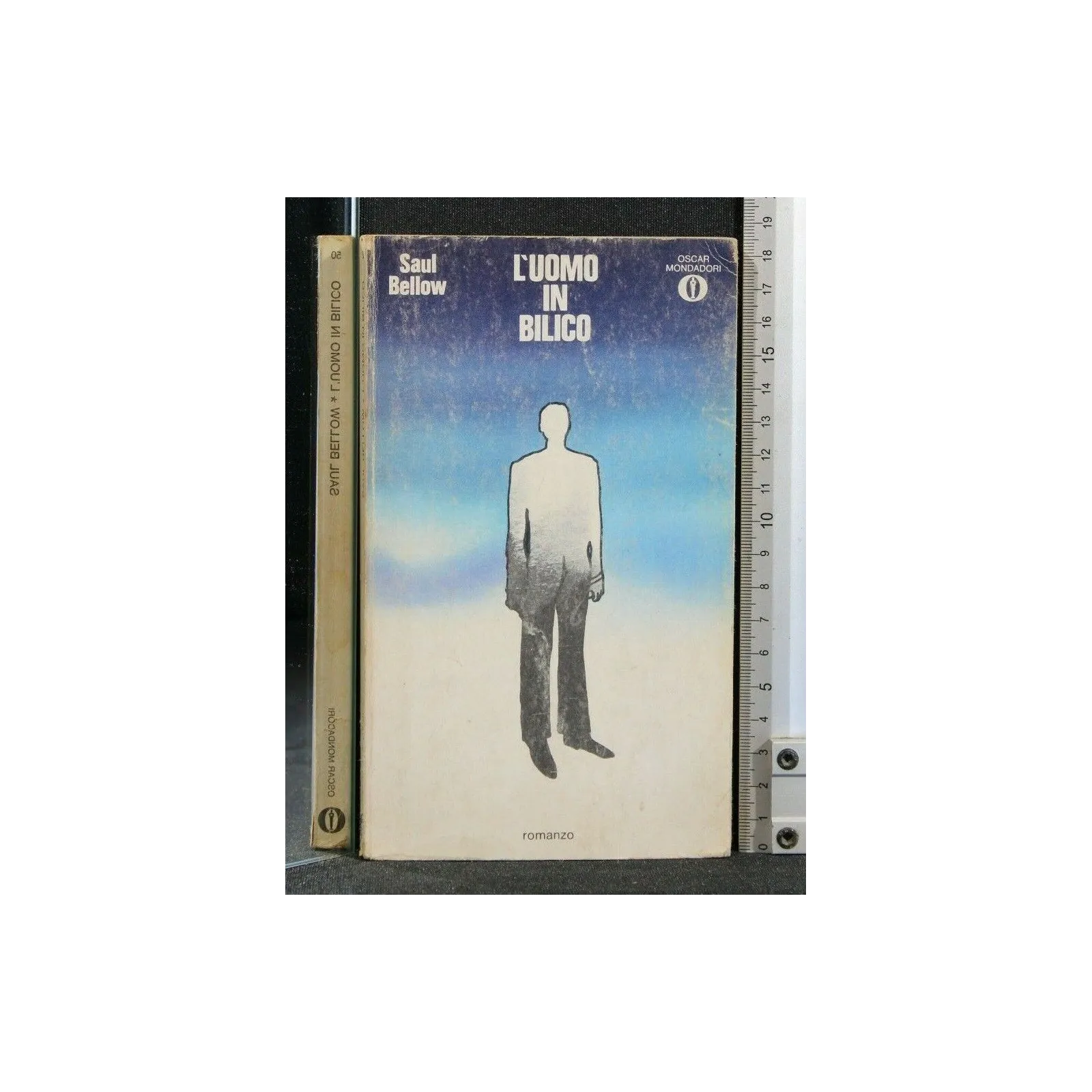 L'UOMO IN BILICO