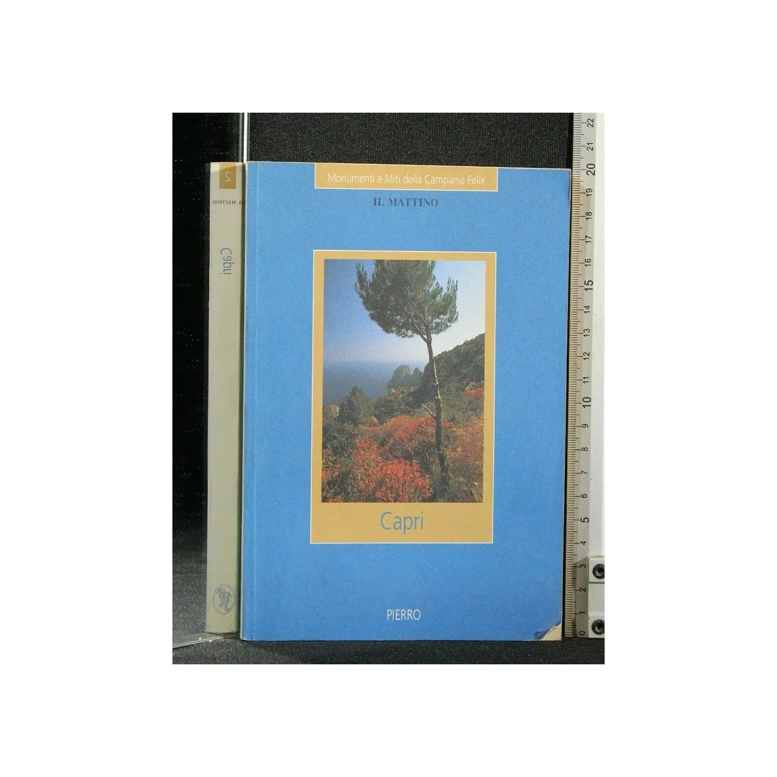 MONUMENTI E MITI DELLA CAMPANIA FELIX CAPRI