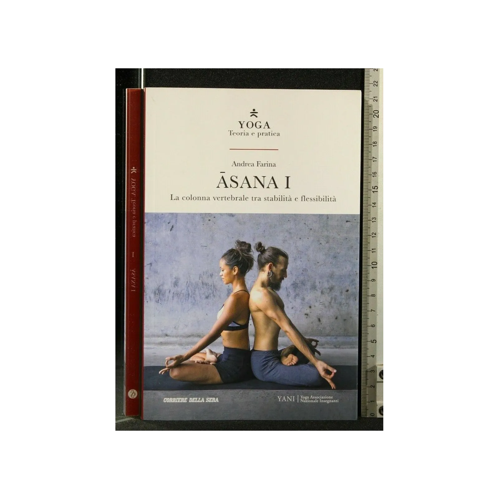 ASANA I LA COLONNA VERTEBRALE TRA STABILITA' E FLESSIBILITA'