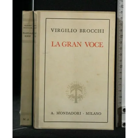 LA GRAN VOCE