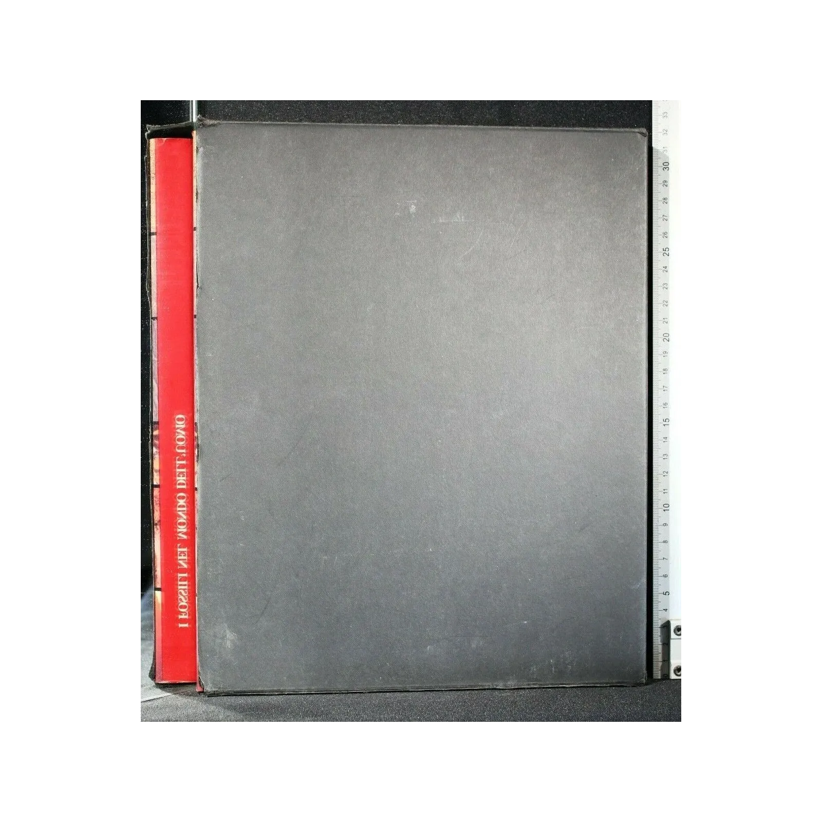 I FOSSILI NEL MONDO DELL'UOMO