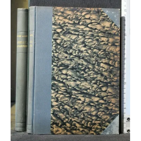 L'ULCERA GASTRICA PERFORATA E DUODENALE PERFORATA