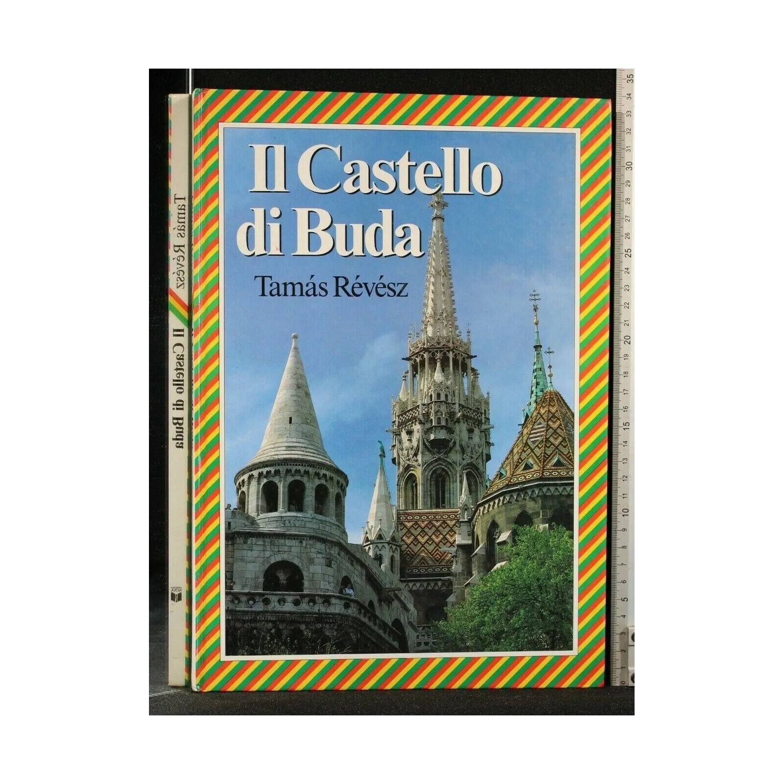 IL CASTELLO DI BUDA