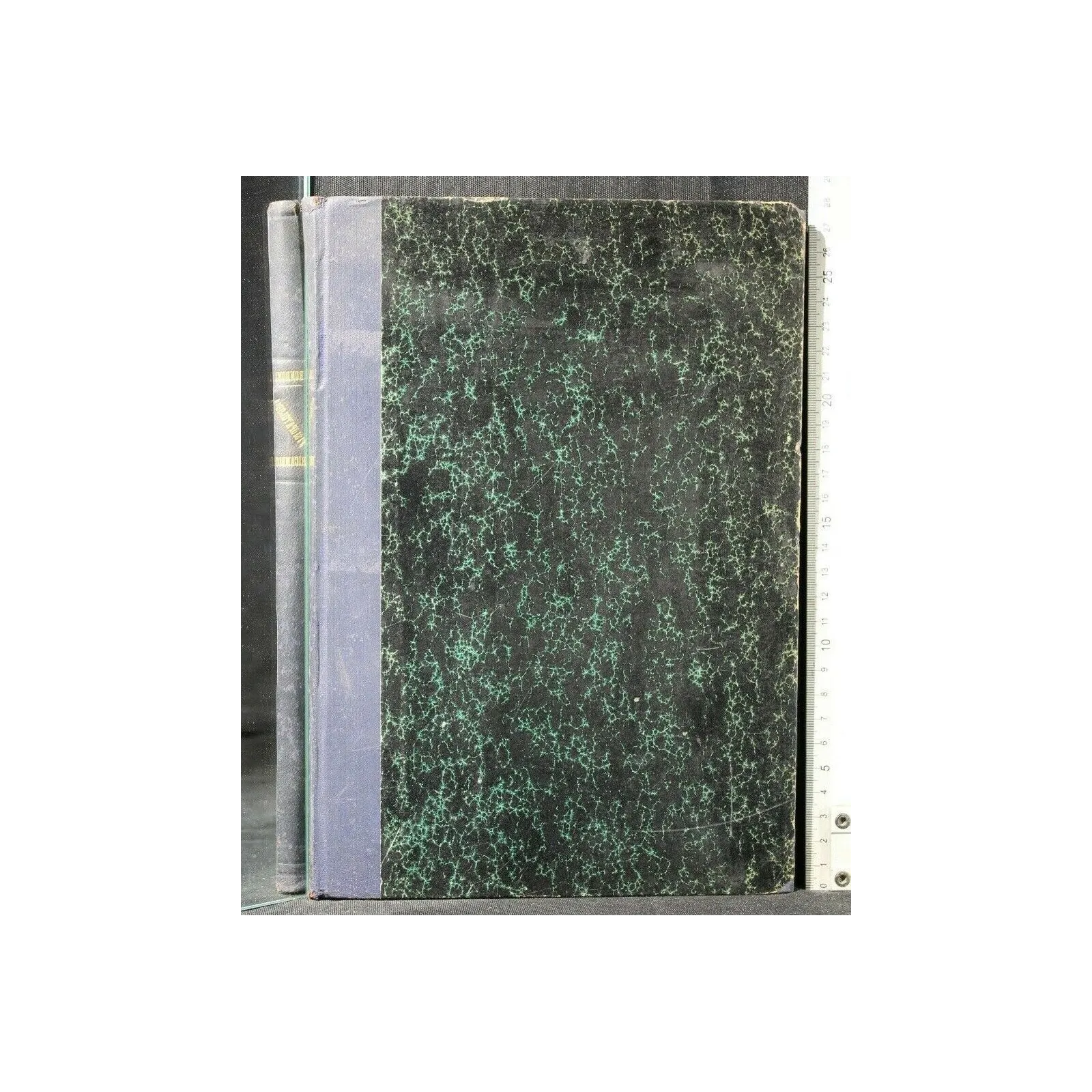 FISIOPATOLOGIA GENERALE DEL RICAMBIO