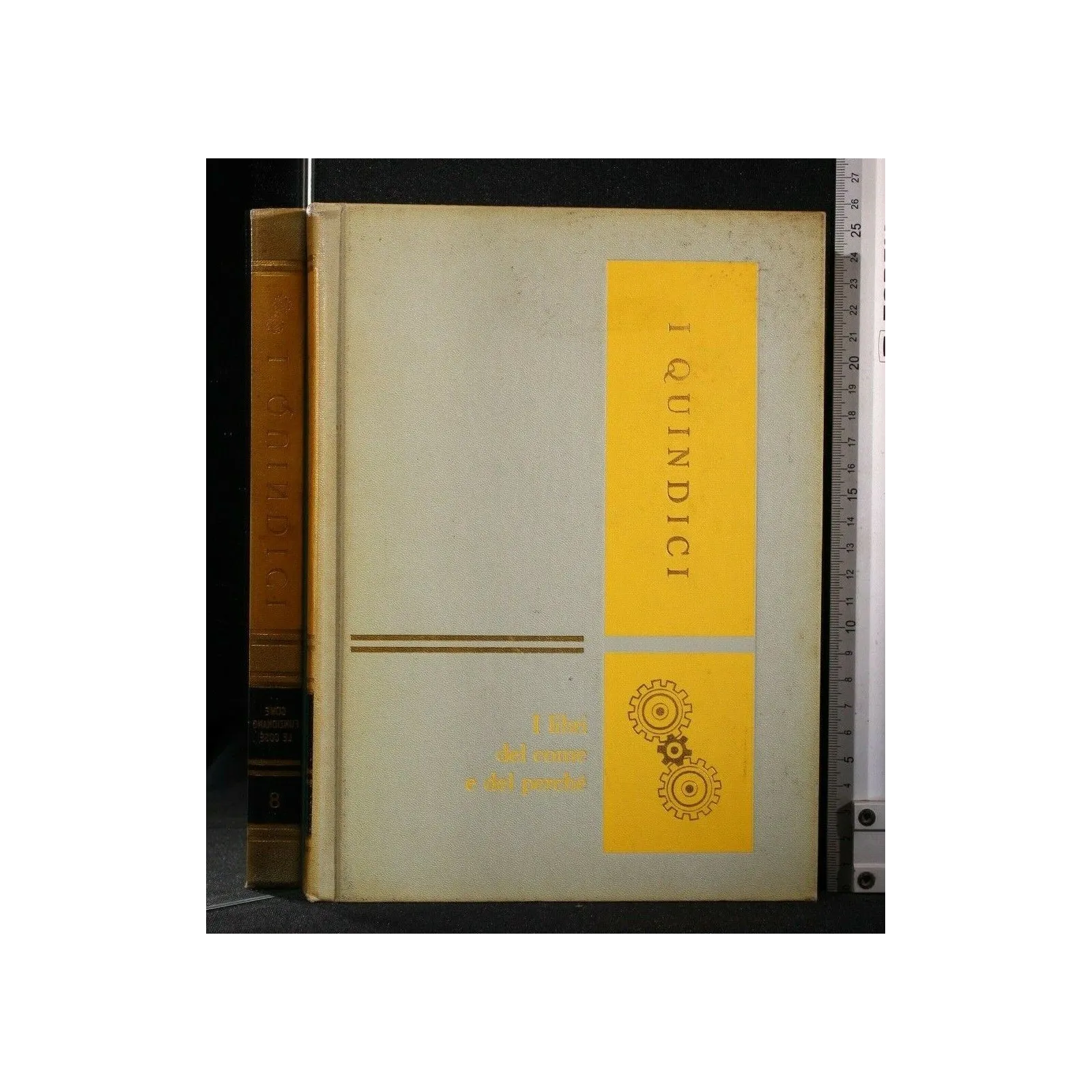 I QUINDICI COME FUNZIONANO LE COSE VOLUME 8