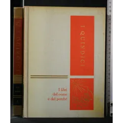 I QUINDICI FESTE E COSTUMI VOLUME 5