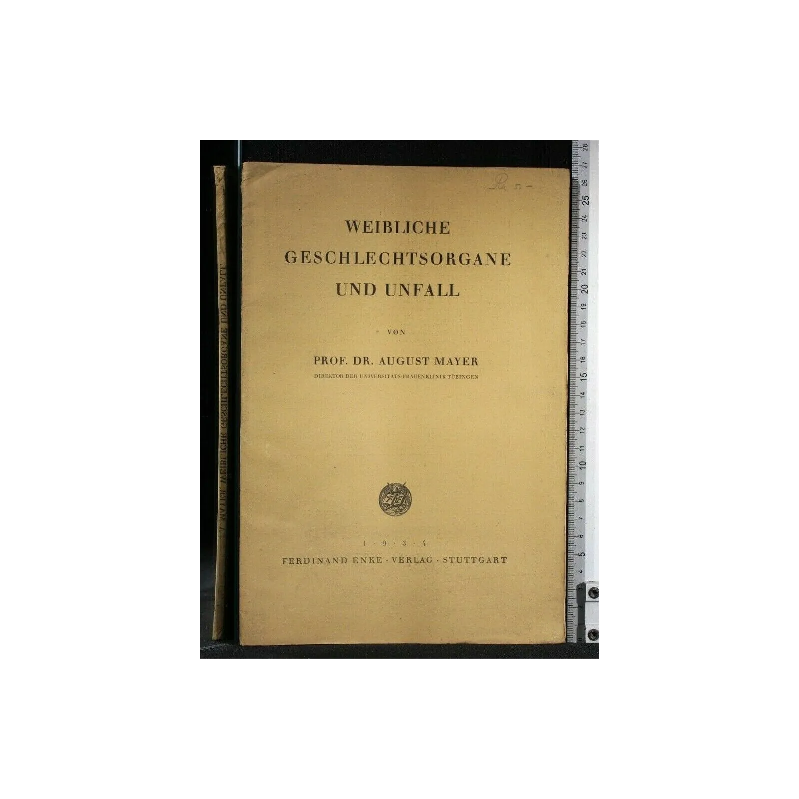 WEIBLICHE GESCHLECHTSORGANE UND UNFALL