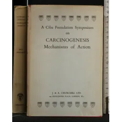 A CIBA FOUNDATION SYMPOSIUM ON CARCINOGENESIS MECHANISMS OF
