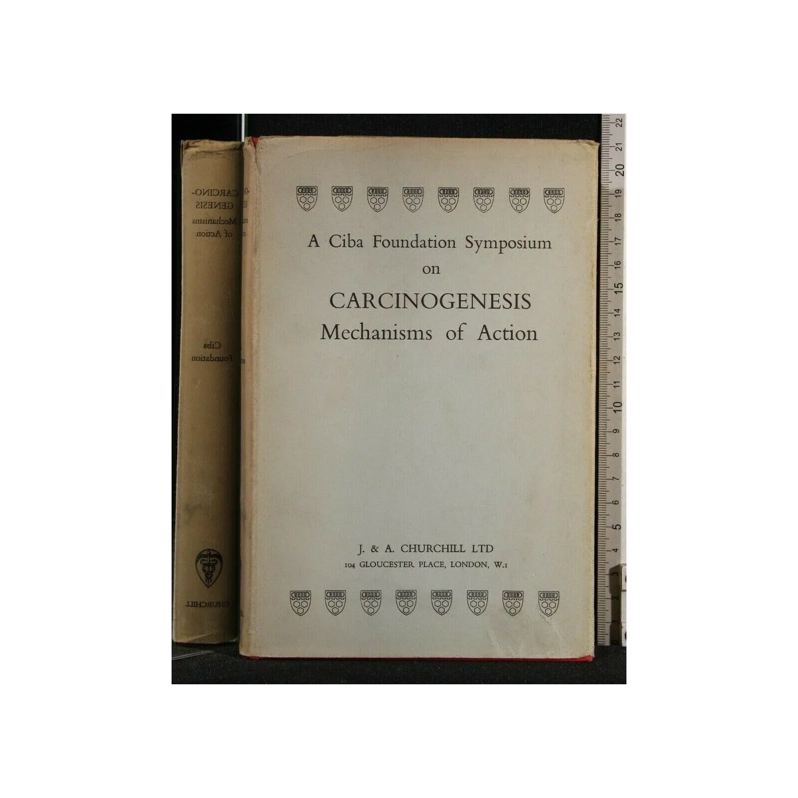 A CIBA FOUNDATION SYMPOSIUM ON CARCINOGENESIS MECHANISMS OF