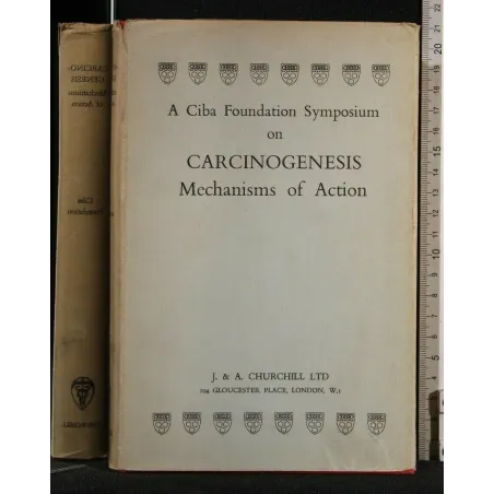 A CIBA FOUNDATION SYMPOSIUM ON CARCINOGENESIS MECHANISMS OF