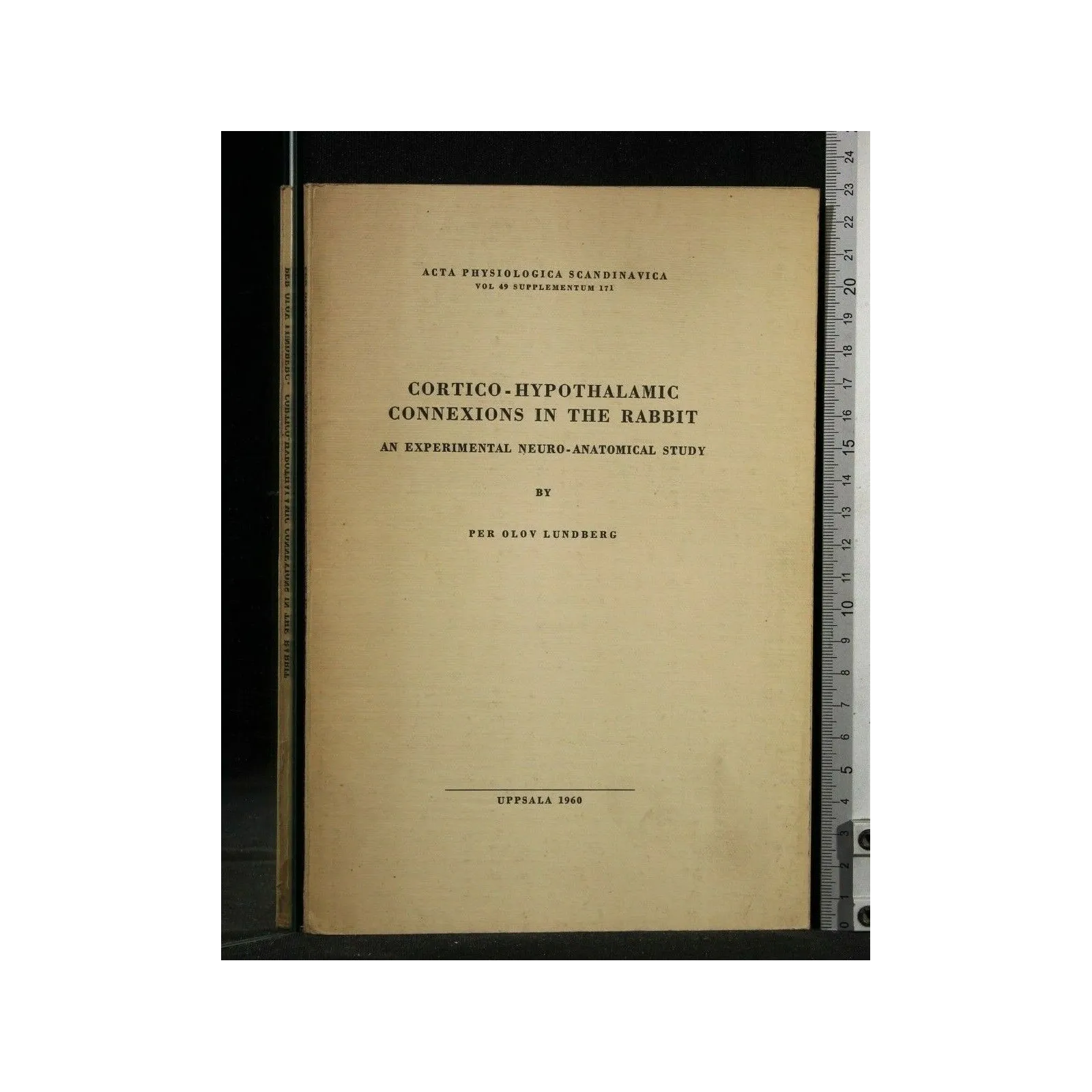 CORTICO-HYPOTHALAMIC CONNEXIONS IN THE RABBIT AN EXPERIMENTAL