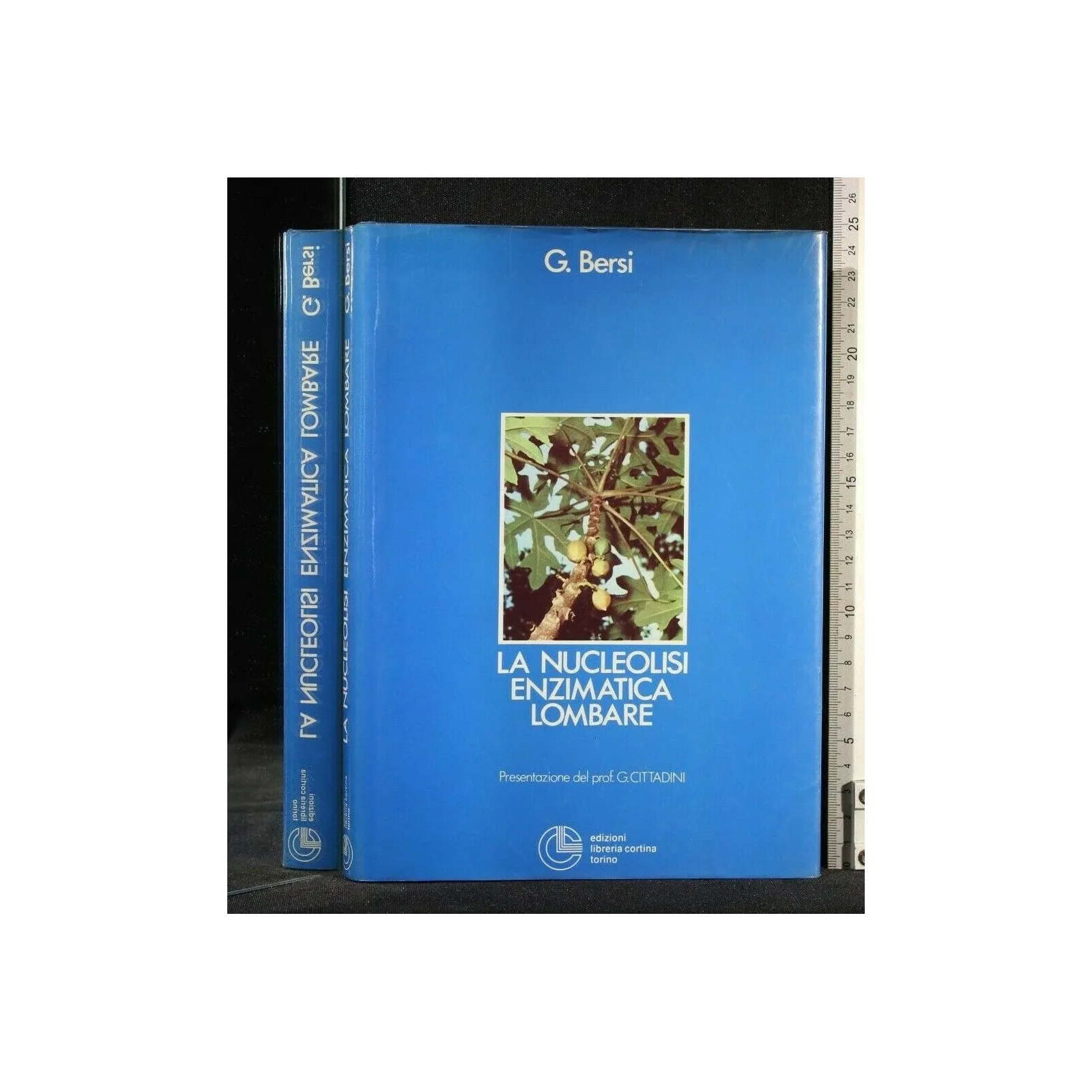 LA NUCLEOLISI ENZIMATICA LOMBARE