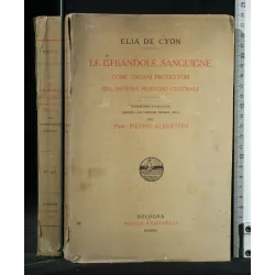 LE GHIANDOLE SANGUIGNE COME ORGANI PROTETTORI DEL SISTEMA