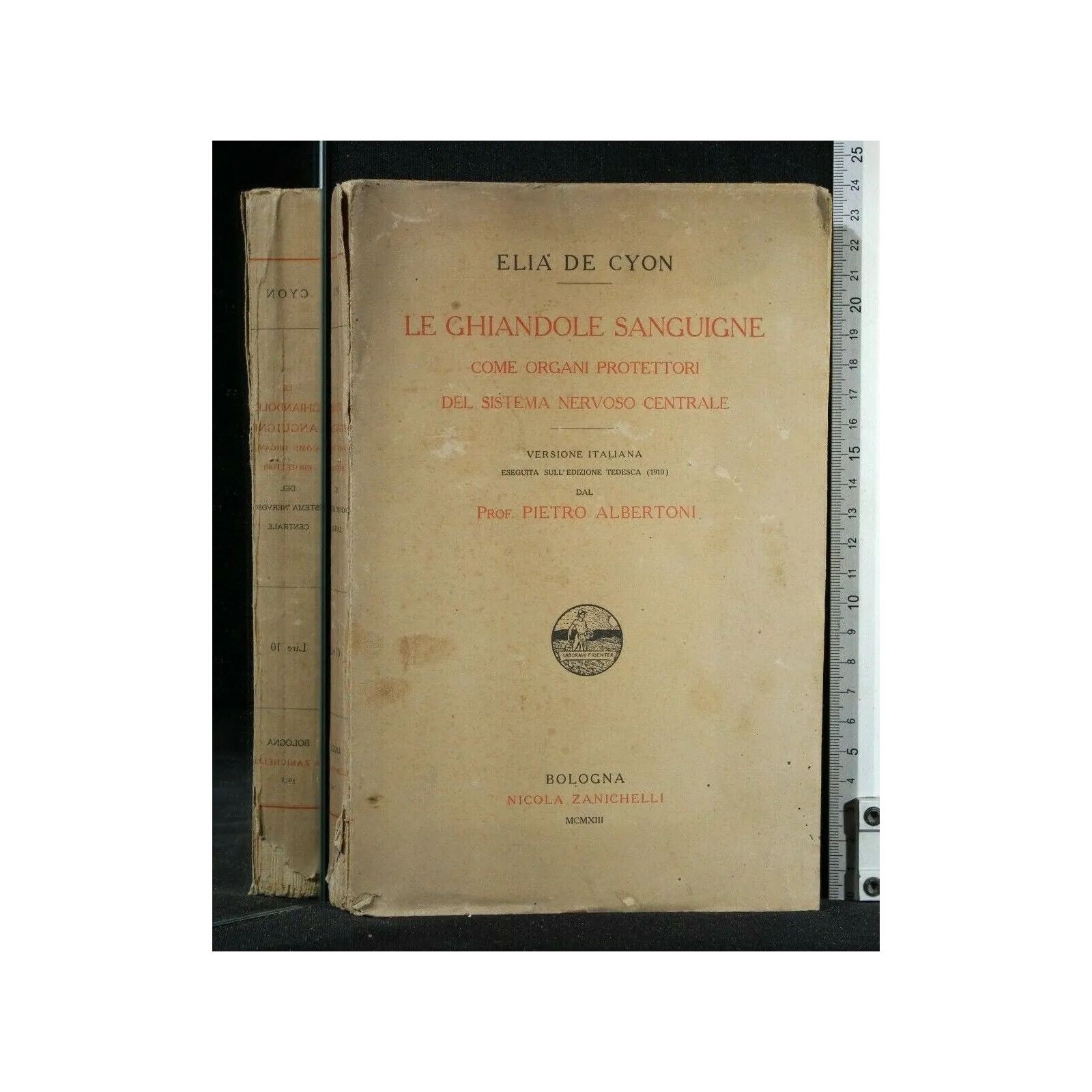 LE GHIANDOLE SANGUIGNE COME ORGANI PROTETTORI DEL SISTEMA