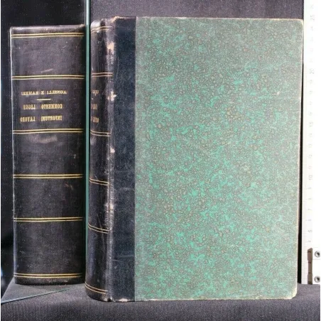 COMMENTO ALLA LEGGE SUGLI INFORTUNI DEL LAVORO