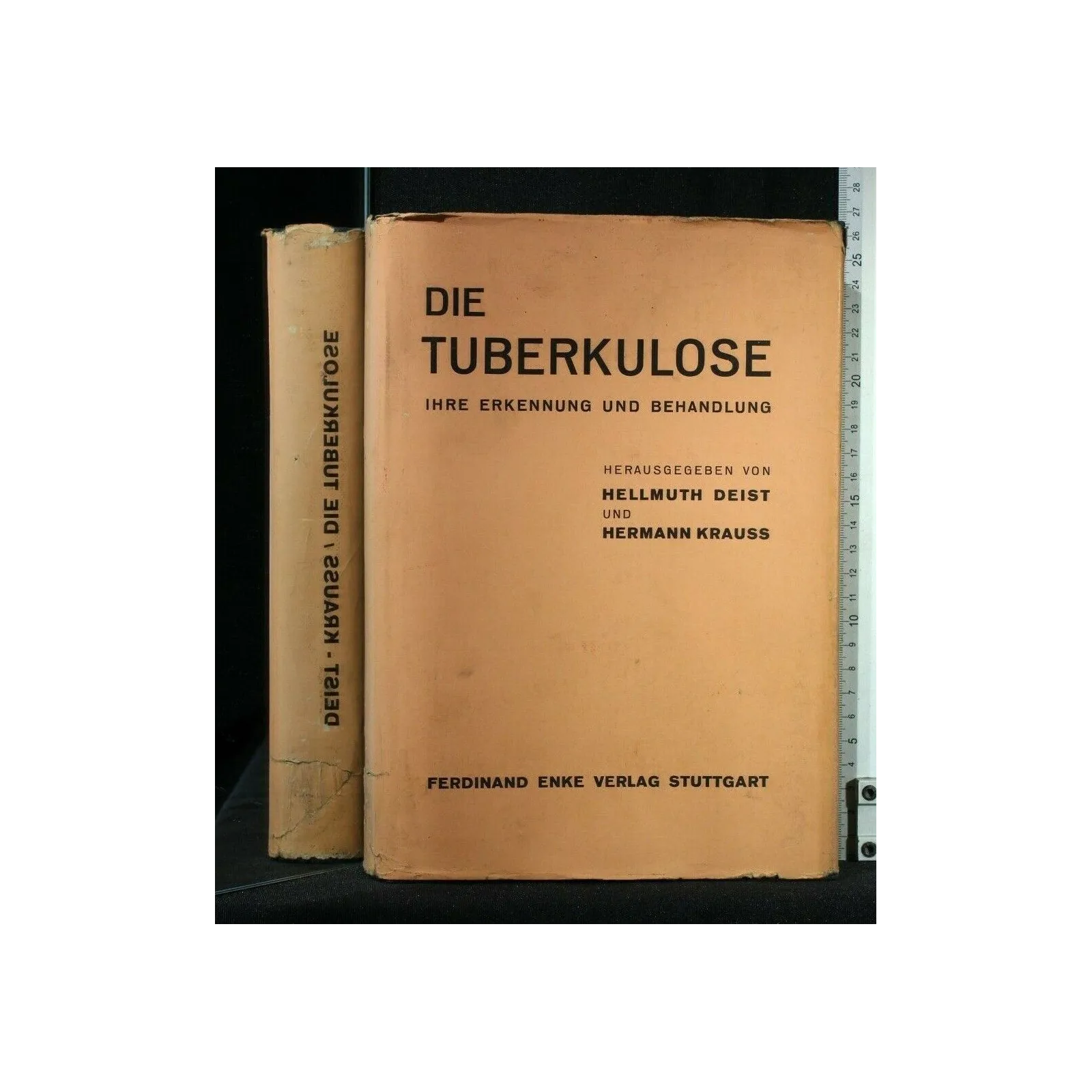 DIE TUBERKULOSE IHRE ERKENNUNG UND BEHANDLUNG