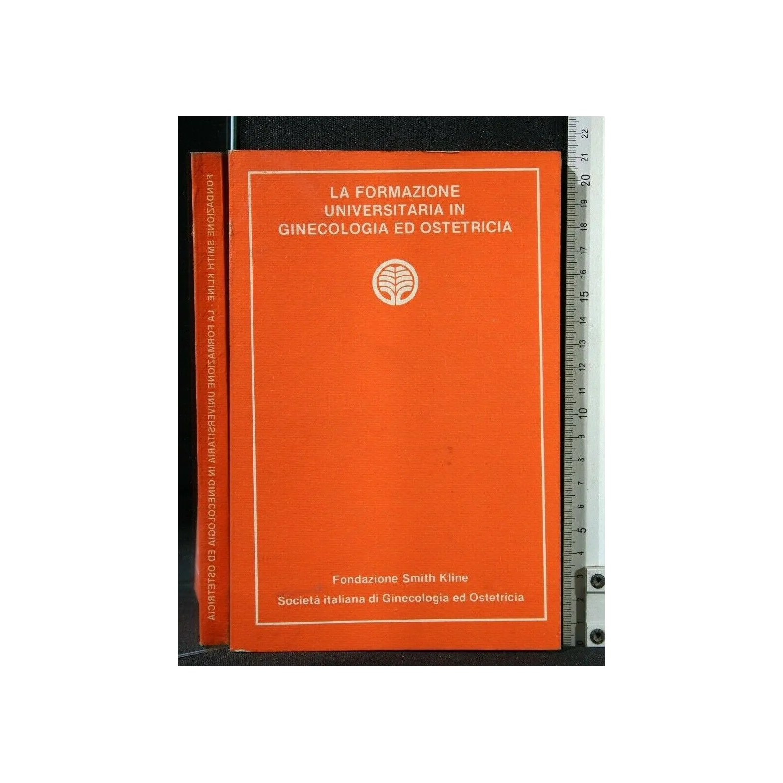 LA FORMAZIONE UNIVERSITARIA IN GINECOLOGIA ED OSTETRICIA