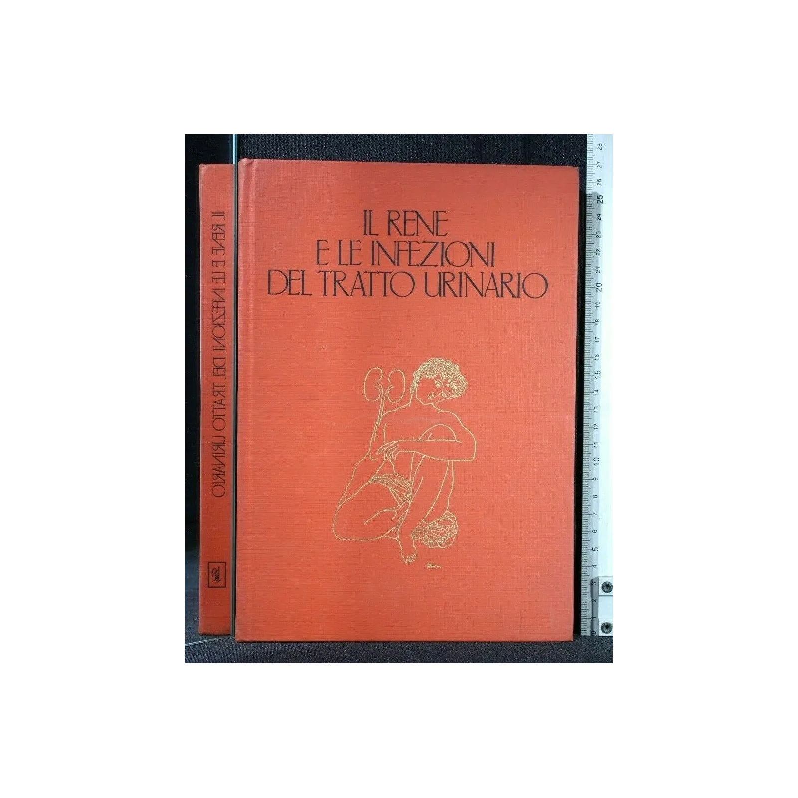 IL RENE E LE INFEZIONI DEL TRATTO URINARIO
