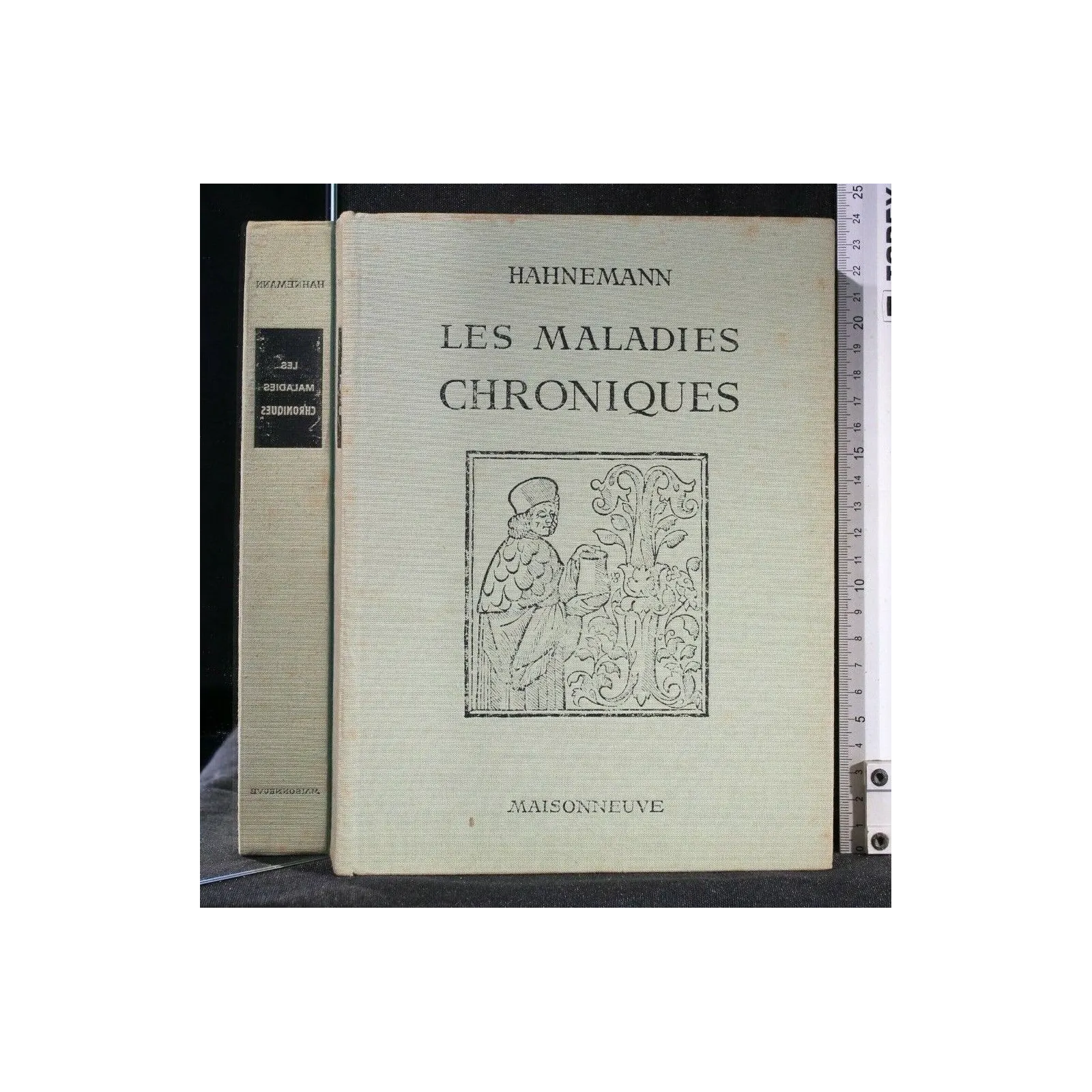 LES MALADIES CHRONIQUES