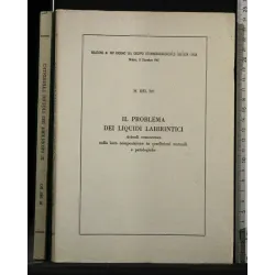 IL PROBLEMA DEI LIQUIDI LABIRINTICI