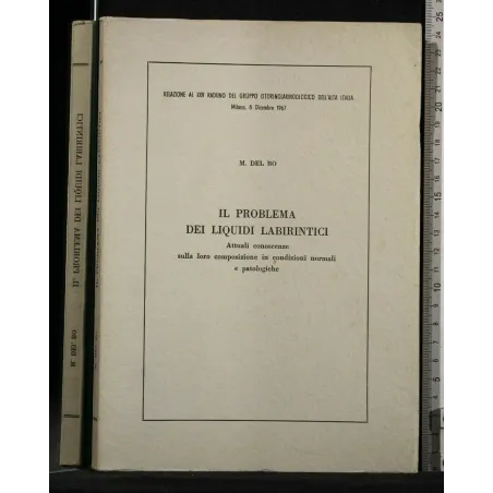 IL PROBLEMA DEI LIQUIDI LABIRINTICI