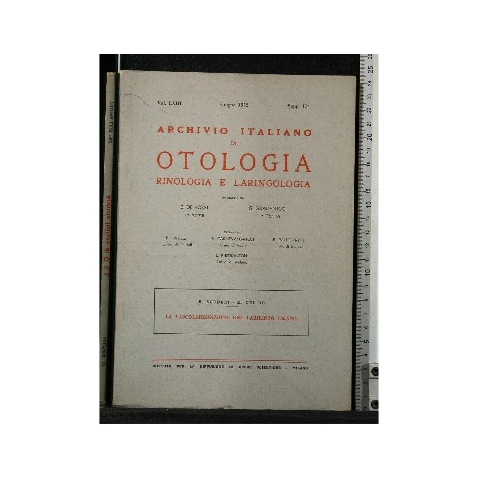 LA VASCOLARIZZAZIONE DEL LABIRINTO UMANO ARCHIVIO ITALIANO DI