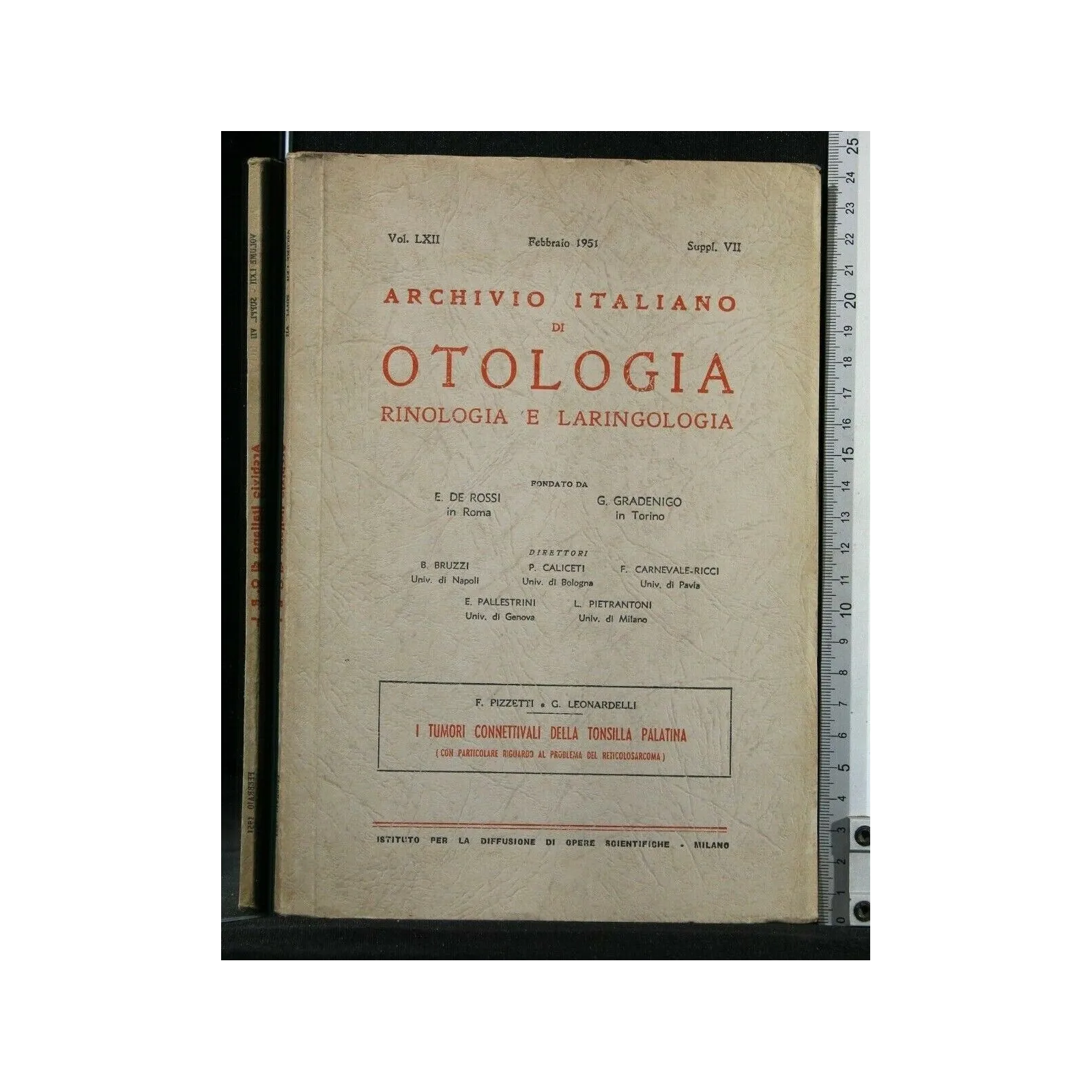 I TUMORI CONNETTIVALI DELLA TONSILLA PALATINA ARCHIVIO ITALIANO