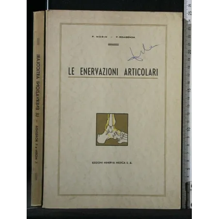 LE ENERVAZIONI ARTICOLARI