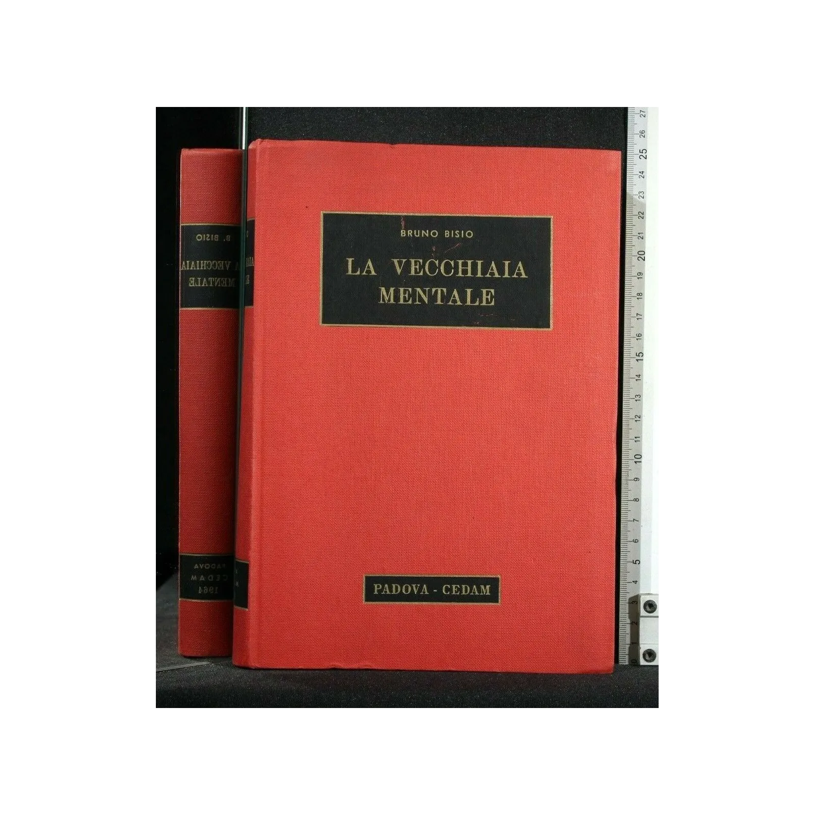 LA VECCHIAIA MENTALE