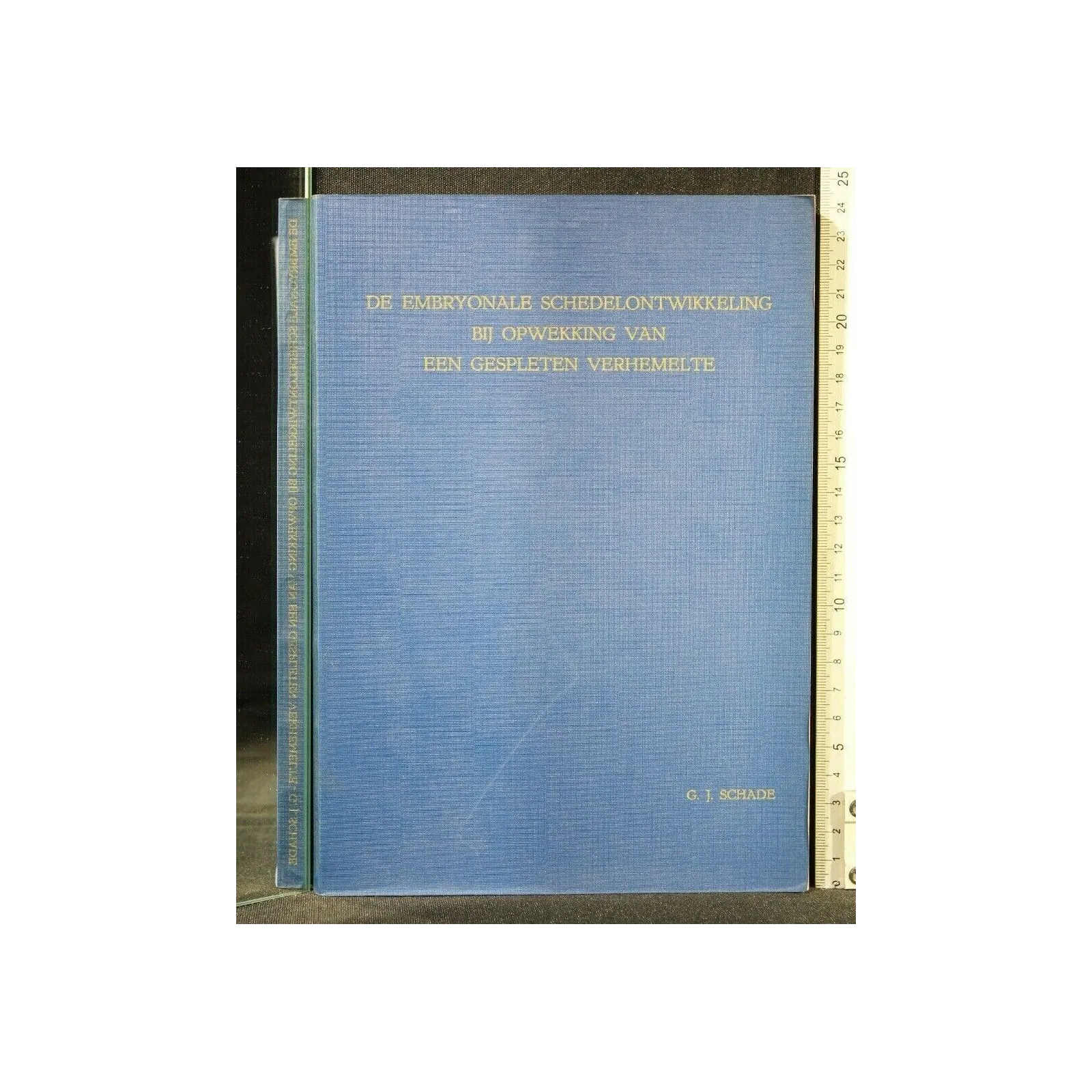 DE EMBRYONALE SCHEDELONTWIKKELING BIJ OPWEKKING VAN EEN