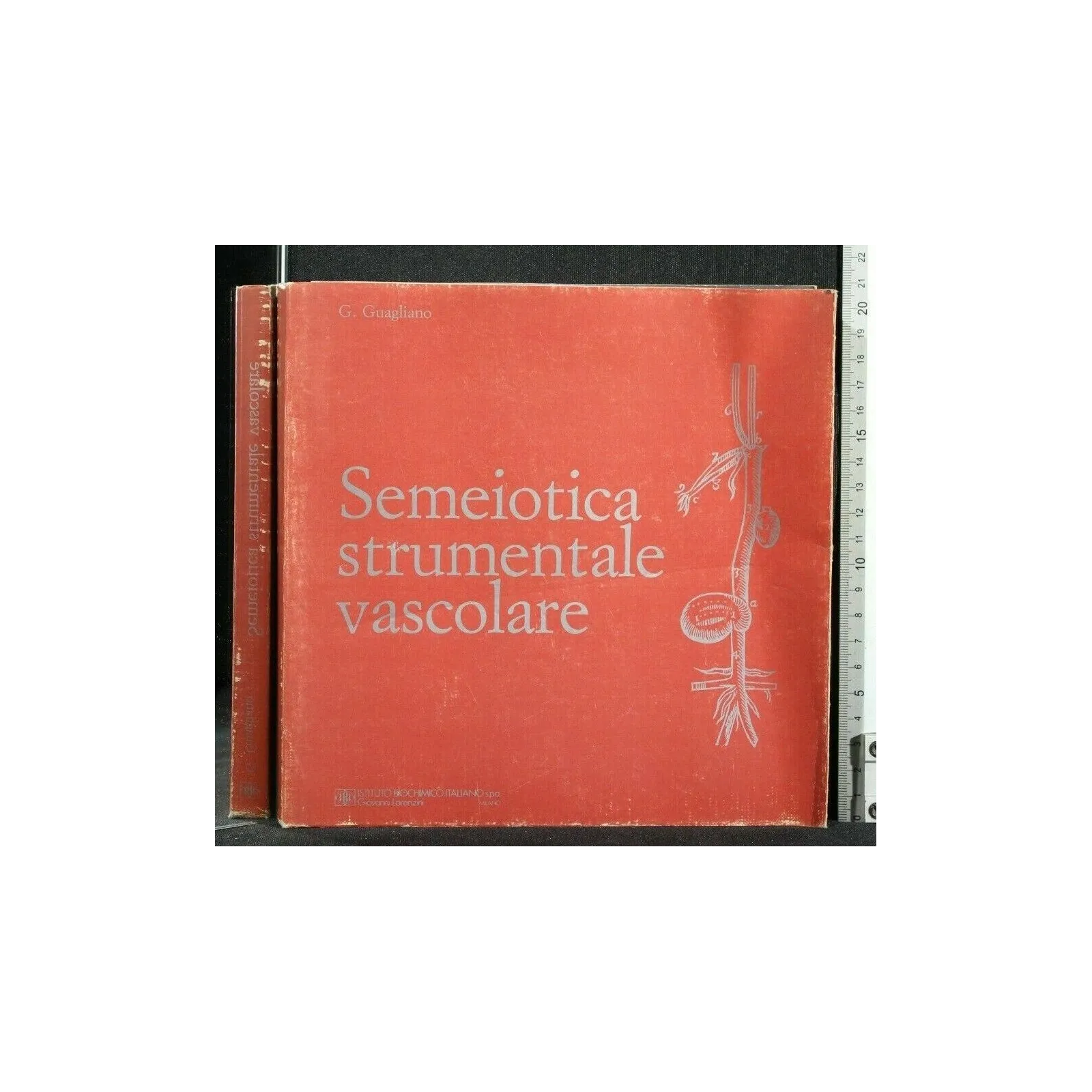 SEMEIOTICA STRUTTURALE VASCOLARE