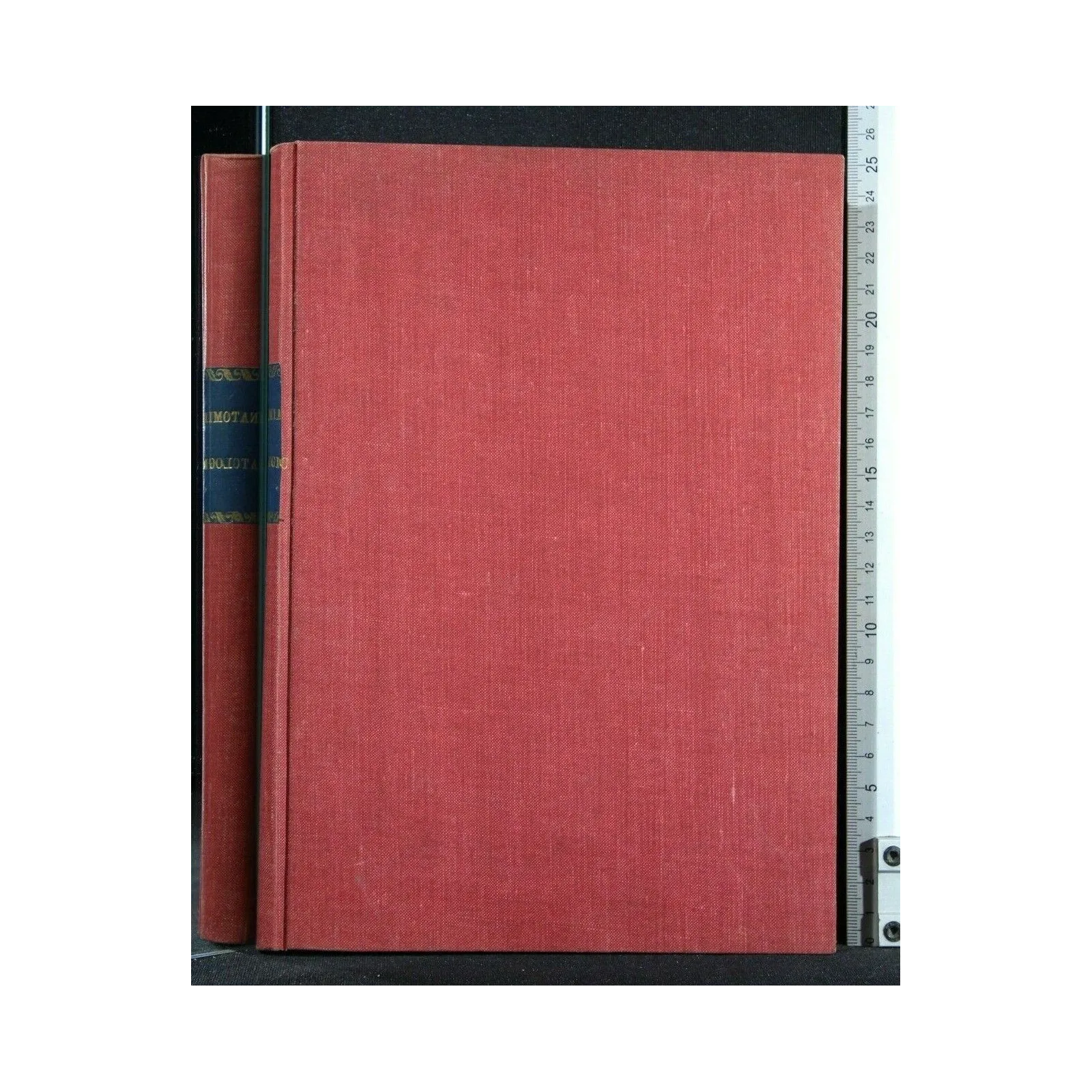 COMPENDIO DI ANATOMIA PATOLOGICA ANNO ACCADEMICO 1935-1936-XIV