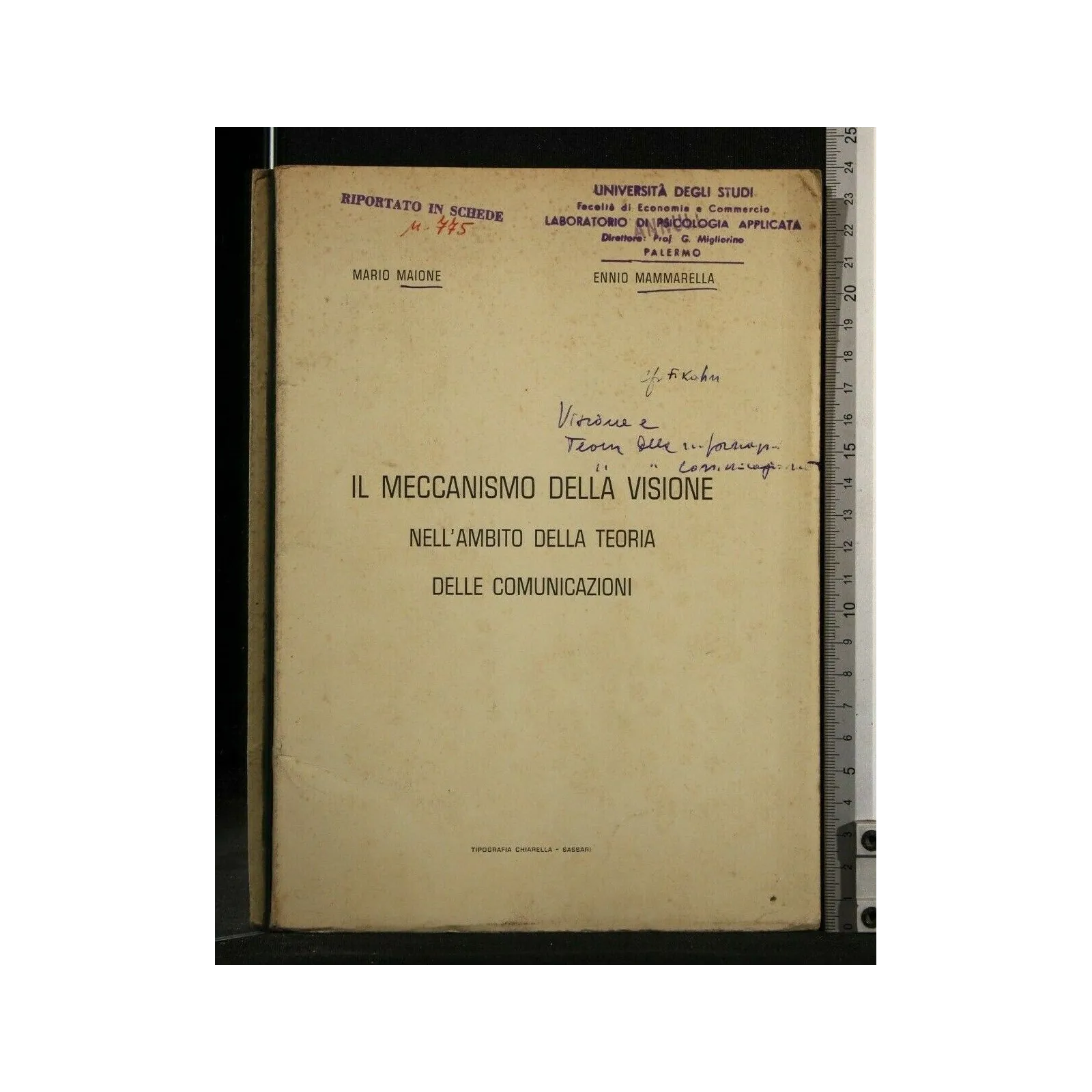 IL MECCANISMO DELLA VISIONE NELL'AMBITO DELLA TEORIA DELLE