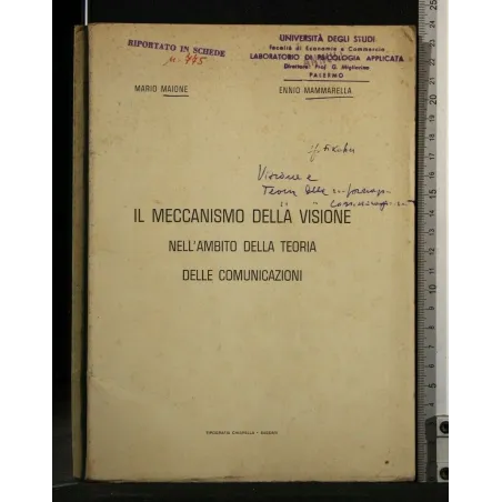 IL MECCANISMO DELLA VISIONE NELL'AMBITO DELLA TEORIA DELLE