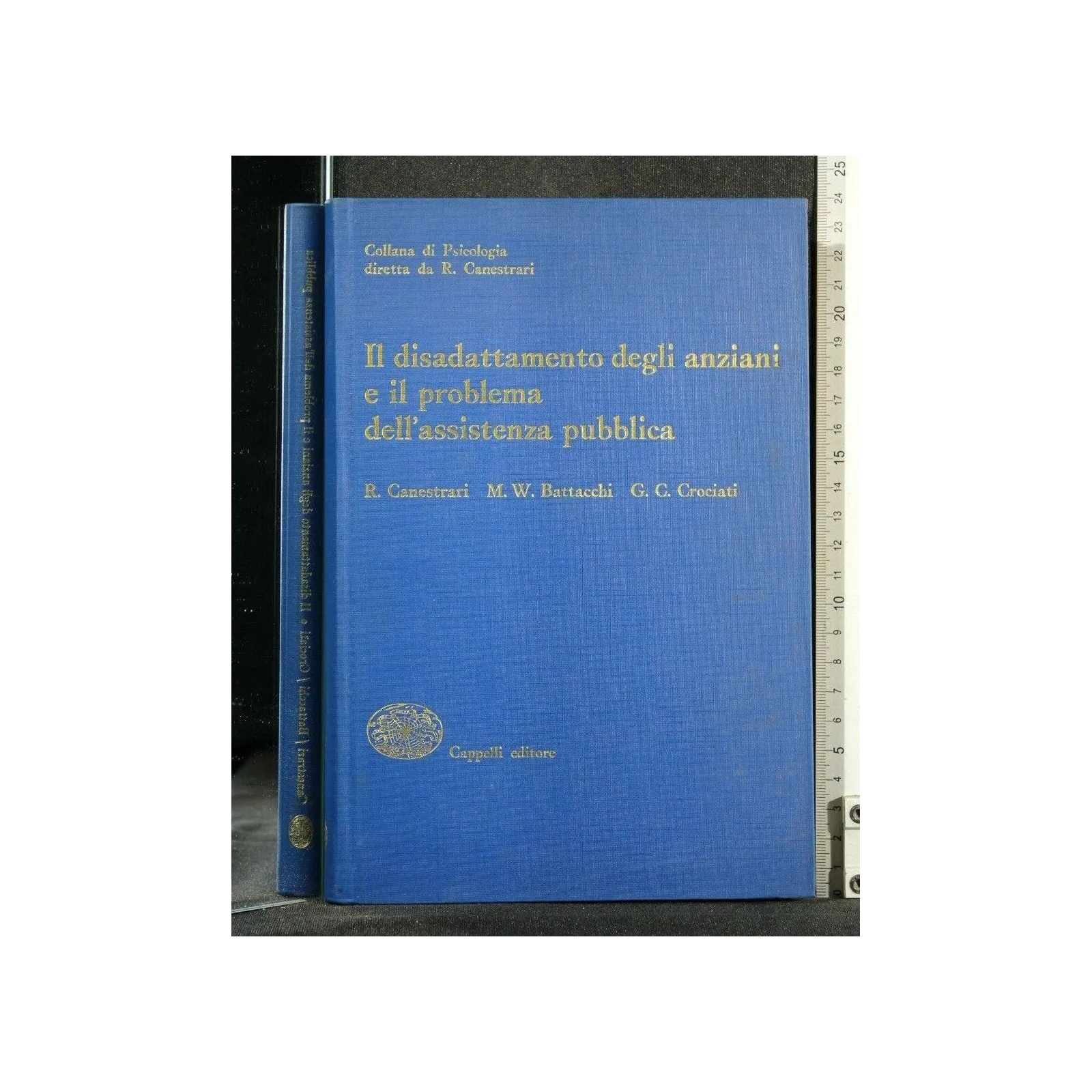 IL DISADATTAMENTO DEGLI ANZIANI E IL PROBLEMA DELL'ASSISTENZA