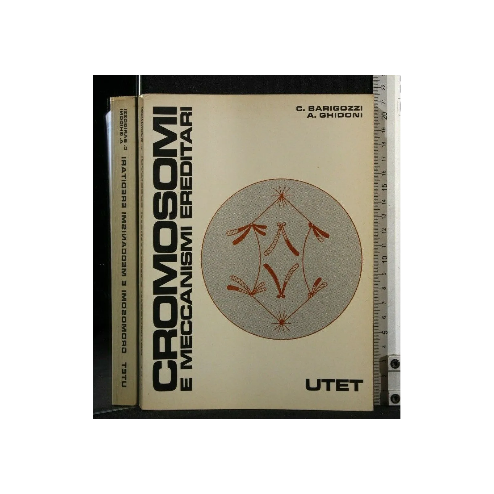 CROMOSOMI E MECCANISMI EREDITARI