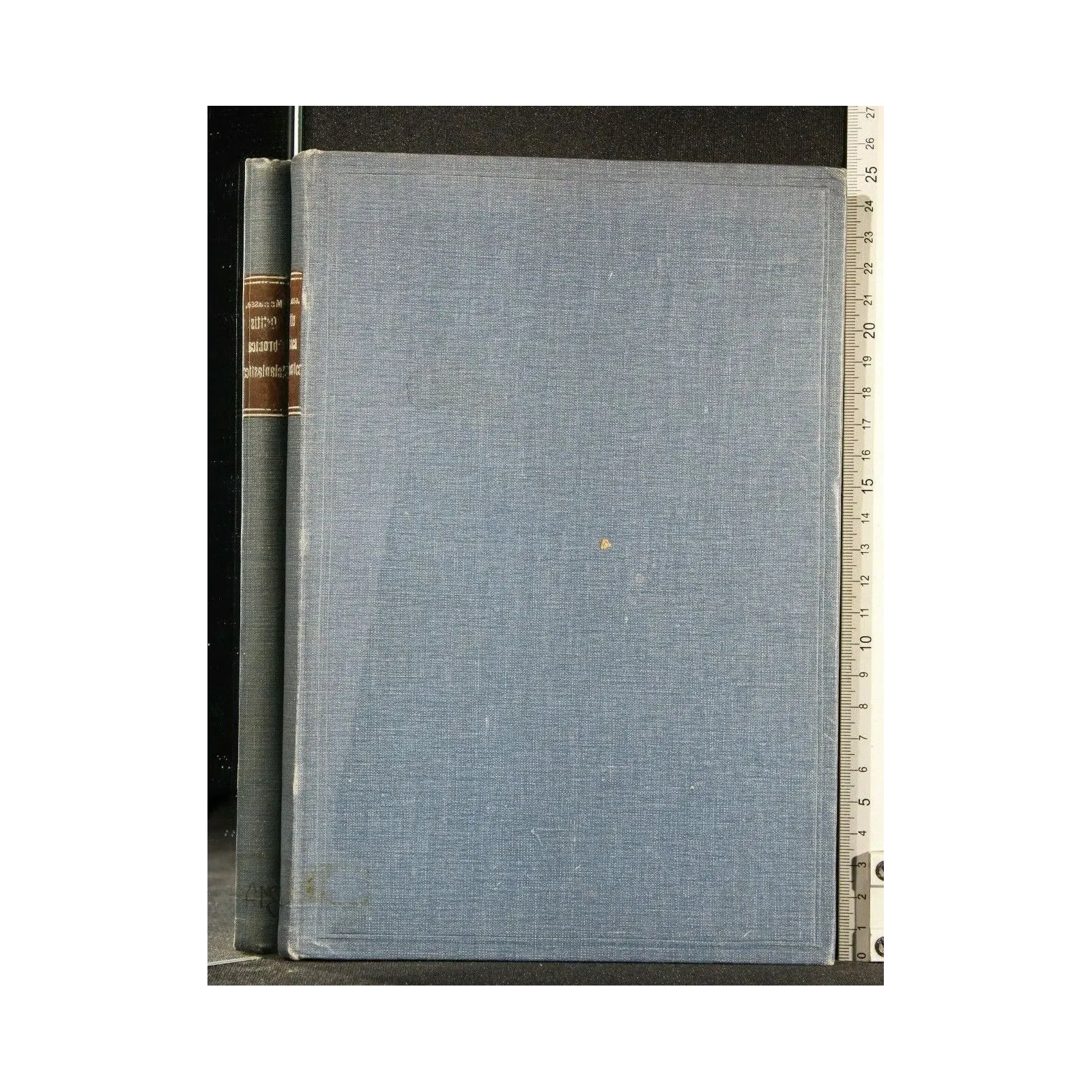 DIE OSTIS CHRONICA METAPLASTICA DER MENSCHLICHEN LABYRINTHKAPSEL