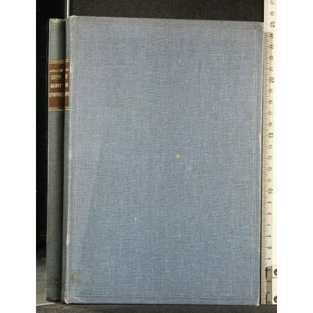 DIE OSTIS CHRONICA METAPLASTICA DER MENSCHLICHEN LABYRINTHKAPSEL