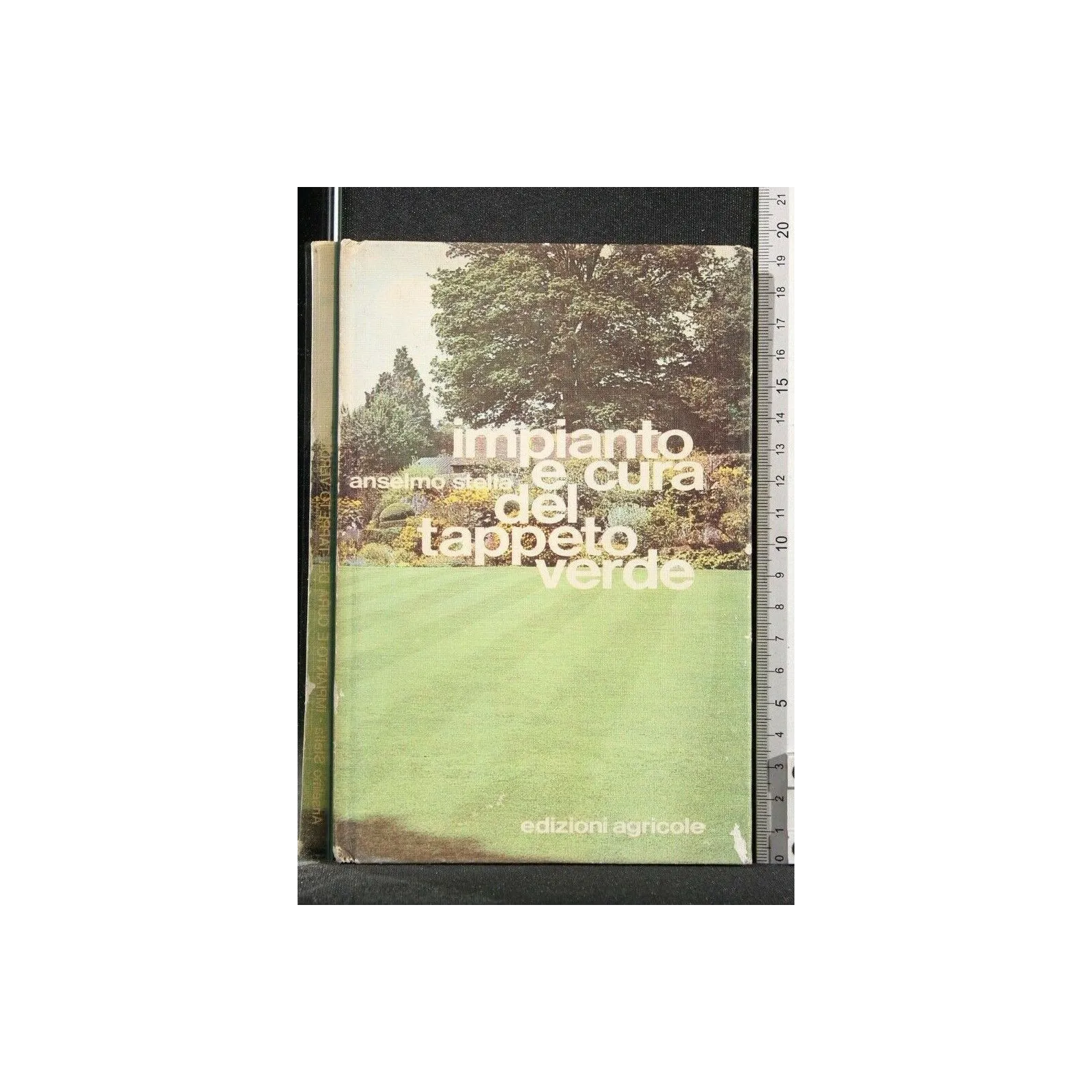 IMPIANTO E CURA DEL TAPPETO VERDE