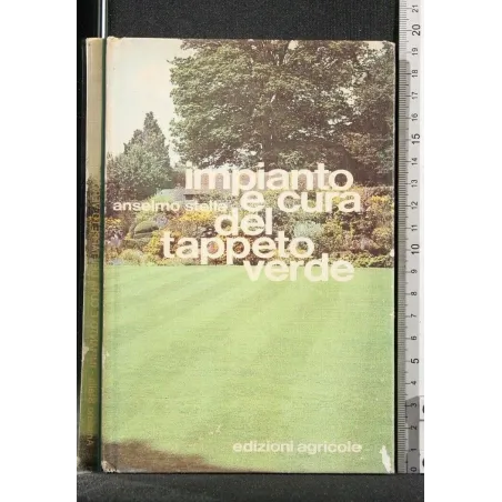 IMPIANTO E CURA DEL TAPPETO VERDE